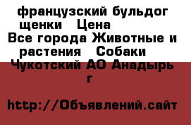 французский бульдог щенки › Цена ­ 50 000 - Все города Животные и растения » Собаки   . Чукотский АО,Анадырь г.